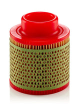 C 1131