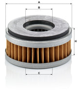 C 74 dimensions