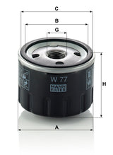 W 77 dimensions